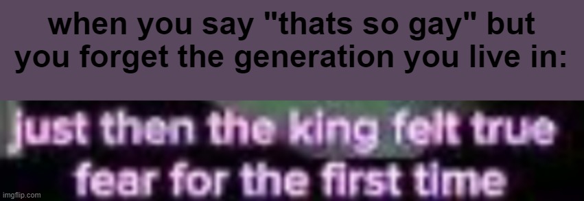 just then the king felt true fear for the first time | when you say "thats so gay" but you forget the generation you live in: | image tagged in just then the king felt true fear for the first time | made w/ Imgflip meme maker