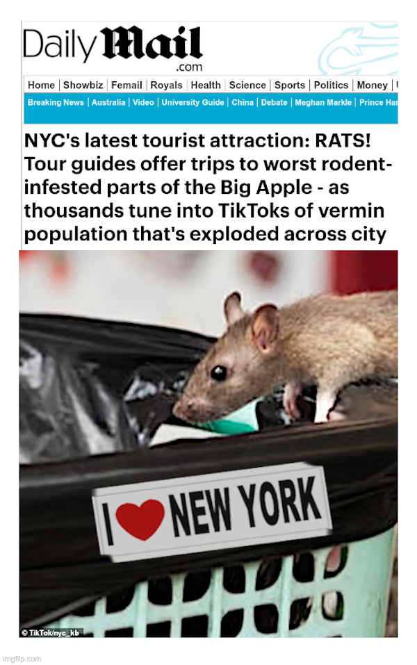 Rats and Democrats: We Love New York! | image tagged in rats,democrats,new york city,tik tok,tourism | made w/ Imgflip meme maker