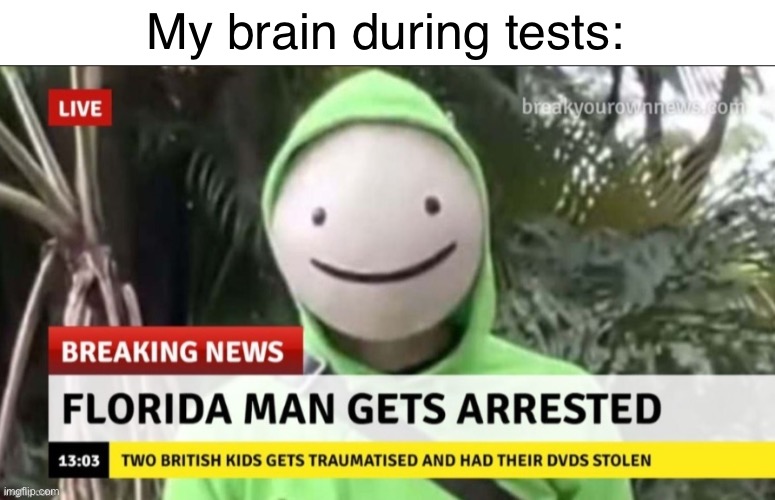 I had an ACT today this was totally me | My brain during tests: | image tagged in dsmp,dream,florida man | made w/ Imgflip meme maker