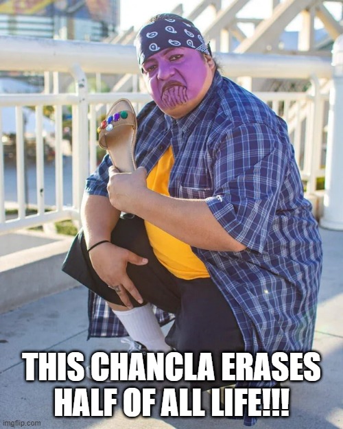 El Thanos | THIS CHANCLA ERASES HALF OF ALL LIFE!!! | image tagged in thanos | made w/ Imgflip meme maker