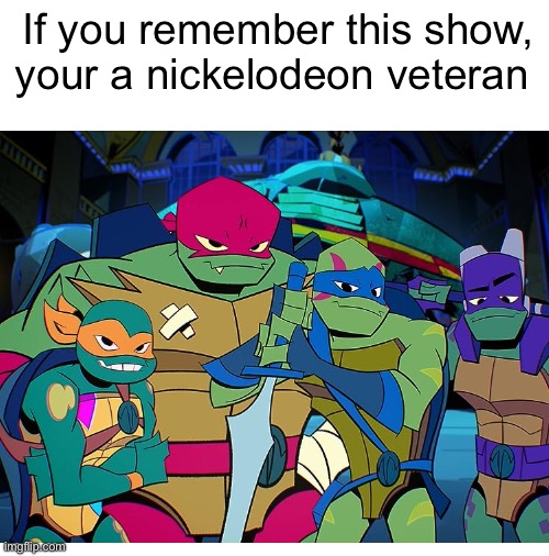 Who else remembers ROTTMNT? | If you remember this show, your a nickelodeon veteran | image tagged in blank white template,tmnt,msmg,nickelodeon | made w/ Imgflip meme maker