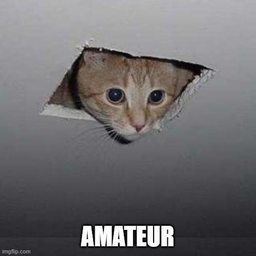 Ceiling Cat Meme | AMATEUR | image tagged in memes,ceiling cat | made w/ Imgflip meme maker
