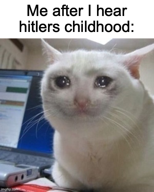 Idk what stream to put this in so.... | Me after I hear hitlers childhood: | image tagged in crying cat | made w/ Imgflip meme maker