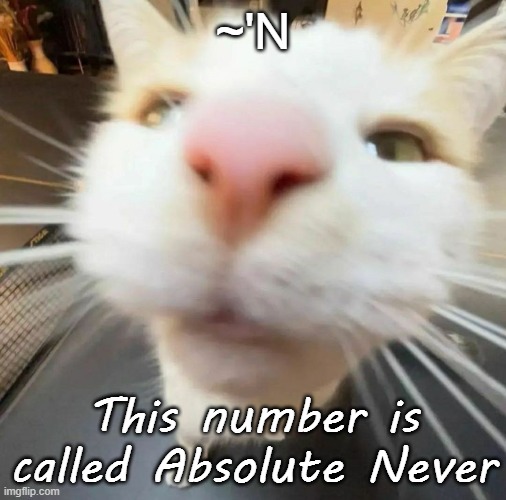 blehh cat | ~'N; This number is called Absolute Never | image tagged in blehh cat | made w/ Imgflip meme maker