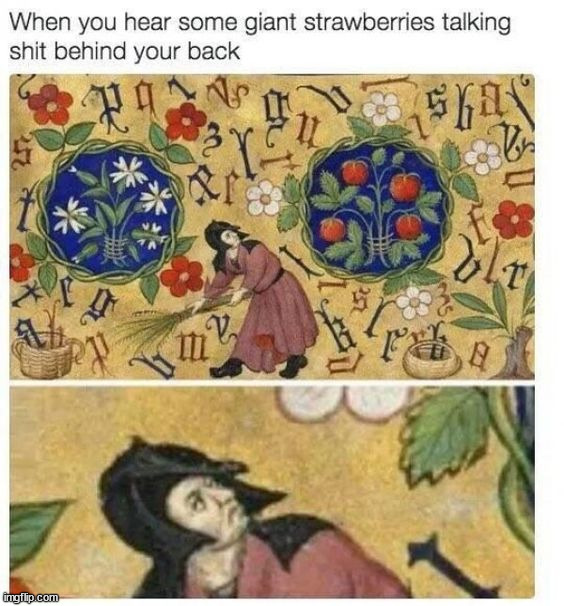 image tagged in memes | made w/ Imgflip meme maker