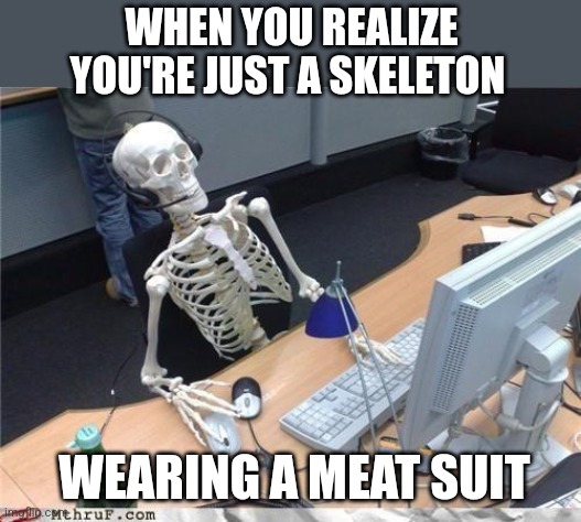Waiting skeleton | WHEN YOU REALIZE YOU'RE JUST A SKELETON WEARING A MEAT SUIT | image tagged in waiting skeleton | made w/ Imgflip meme maker
