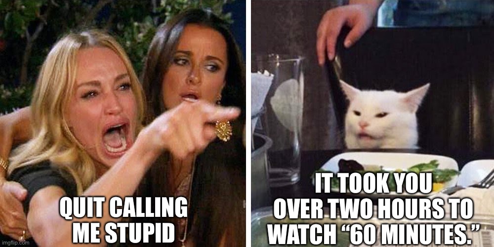 Slow | QUIT CALLING ME STUPID; IT TOOK YOU OVER TWO HOURS TO WATCH “60 MINUTES.” | image tagged in smudge the cat | made w/ Imgflip meme maker