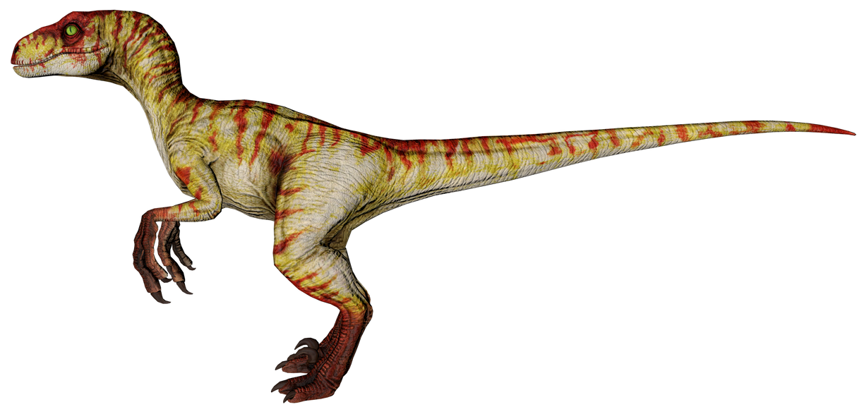 Novel Velociraptor (Female) Blank Meme Template