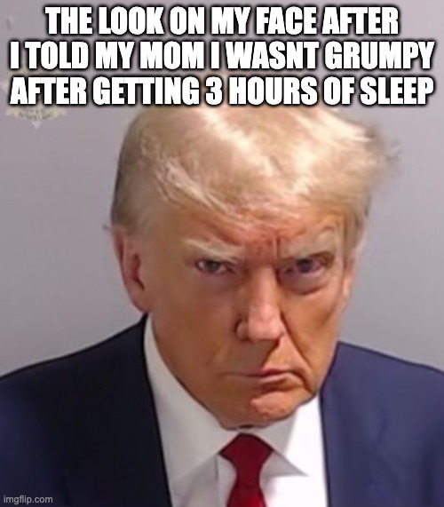 donald trump mugshot | THE LOOK ON MY FACE AFTER I TOLD MY MOM I WASNT GRUMPY AFTER GETTING 3 HOURS OF SLEEP | image tagged in donald trump mugshot | made w/ Imgflip meme maker