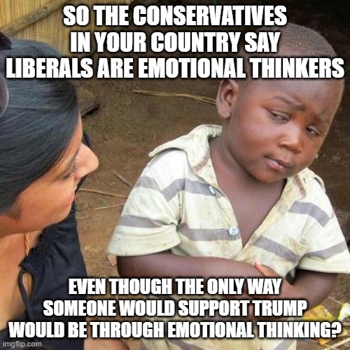 THE TRUMPISTS ARE THE EMOTIONAL THNKERS | SO THE CONSERVATIVES IN YOUR COUNTRY SAY LIBERALS ARE EMOTIONAL THINKERS; EVEN THOUGH THE ONLY WAY SOMEONE WOULD SUPPORT TRUMP WOULD BE THROUGH EMOTIONAL THINKING? | image tagged in memes,third world skeptical kid,republicans,liberals,politics | made w/ Imgflip meme maker