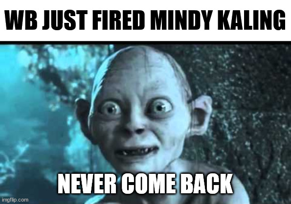 Scooby Doo is Saved, Velma is Canceled | WB JUST FIRED MINDY KALING; NEVER COME BACK | image tagged in leave now and never come back,scooby doo,velma,memes,movies,warner bros | made w/ Imgflip meme maker