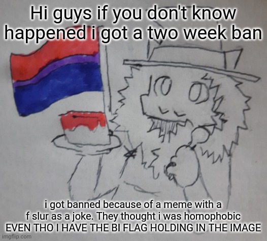 Matrozee's birthday | Hi guys if you don't know happened i got a two week ban; i got banned because of a meme with a f slur as a joke. They thought i was homophobic EVEN THO I HAVE THE BI FLAG HOLDING IN THE IMAGE | image tagged in matrozee's birthday | made w/ Imgflip meme maker