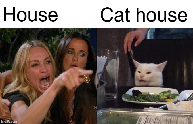 Woman Yelling At Cat Meme | House Cat house | image tagged in memes,woman yelling at cat | made w/ Imgflip meme maker