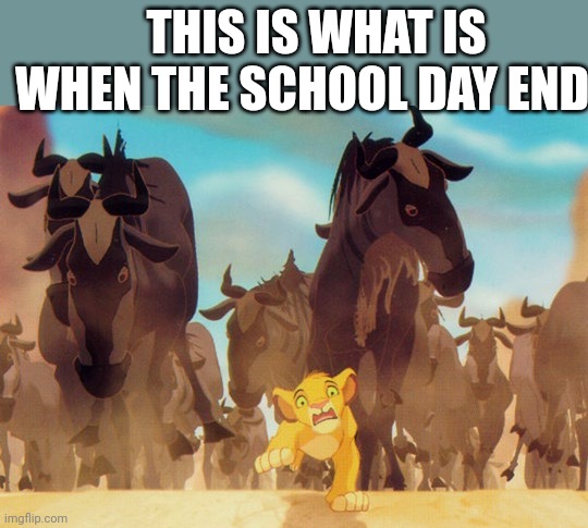 I relive this every day at school | THIS IS WHAT IS WHEN THE SCHOOL DAY ENDS | image tagged in lion king stampede | made w/ Imgflip meme maker