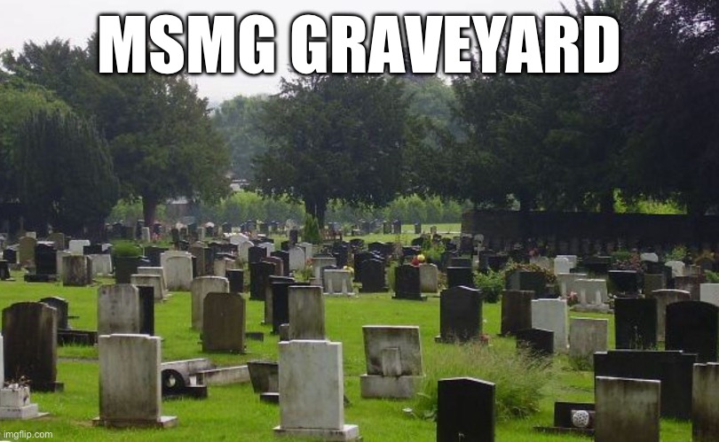 Graveyard | MSMG GRAVEYARD | image tagged in graveyard | made w/ Imgflip meme maker