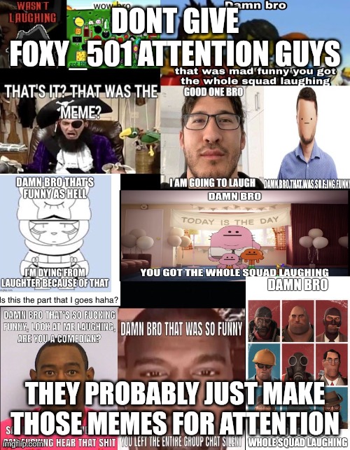 Dont give them what they want | DONT GIVE FOXY_501 ATTENTION GUYS; THEY PROBABLY JUST MAKE THOSE MEMES FOR ATTENTION | image tagged in damn bro that is so funny | made w/ Imgflip meme maker