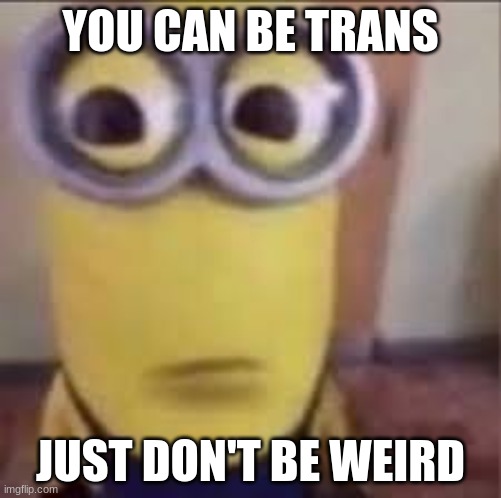 i'm talking like WIERD weird | YOU CAN BE TRANS; JUST DON'T BE WEIRD | image tagged in goofy ahh minion | made w/ Imgflip meme maker