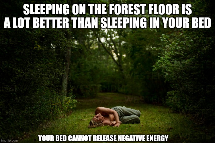 YOU WON'T KNOW UNTIL YOU ACTUALLY DO IT | SLEEPING ON THE FOREST FLOOR IS A LOT BETTER THAN SLEEPING IN YOUR BED; YOUR BED CANNOT RELEASE NEGATIVE ENERGY | image tagged in forest,woods,trees,energy,nature | made w/ Imgflip meme maker