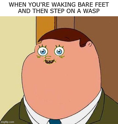 Small face peter griffen | WHEN YOU'RE WAKING BARE FEET
AND THEN STEP ON A WASP | image tagged in small face peter griffen | made w/ Imgflip meme maker