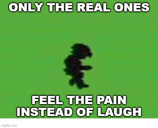 Zelda II Death Only the Real Ones | ONLY THE REAL ONES; FEEL THE PAIN INSTEAD OF LAUGH | image tagged in legend of zelda | made w/ Imgflip meme maker