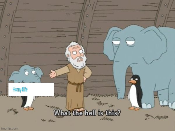 What the hell is this? | image tagged in what the hell is this | made w/ Imgflip meme maker