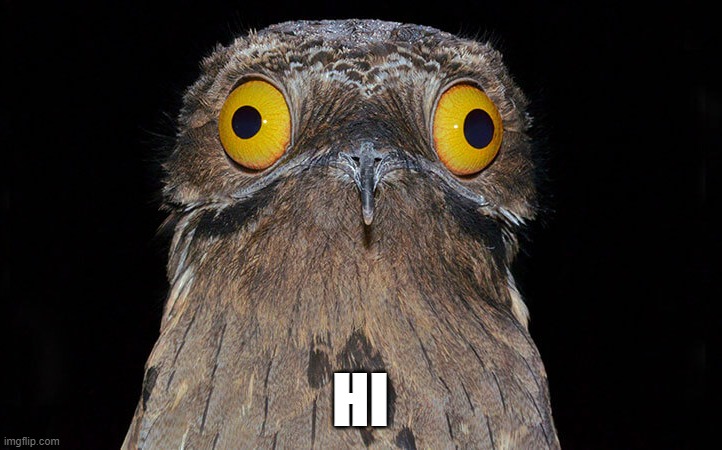 HI | made w/ Imgflip meme maker