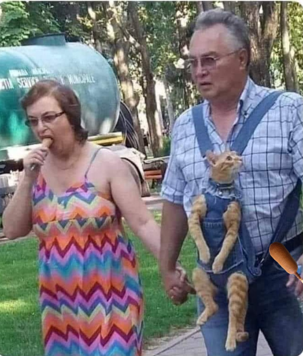 Old couple corndog cat Blank Meme Template