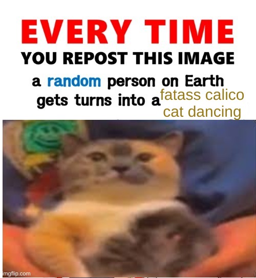 Yuh | fatass calico cat dancing | image tagged in every time you repost this image femboy,shitpost,msmg,cat,oh wow are you actually reading these tags | made w/ Imgflip meme maker