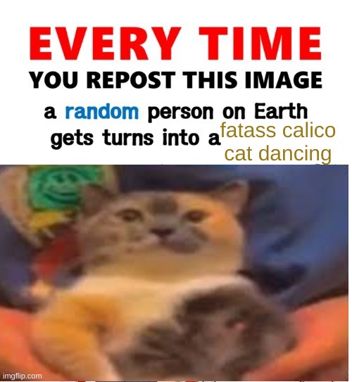 Every time you repost this image femboy | fatass calico cat dancing | image tagged in every time you repost this image femboy | made w/ Imgflip meme maker