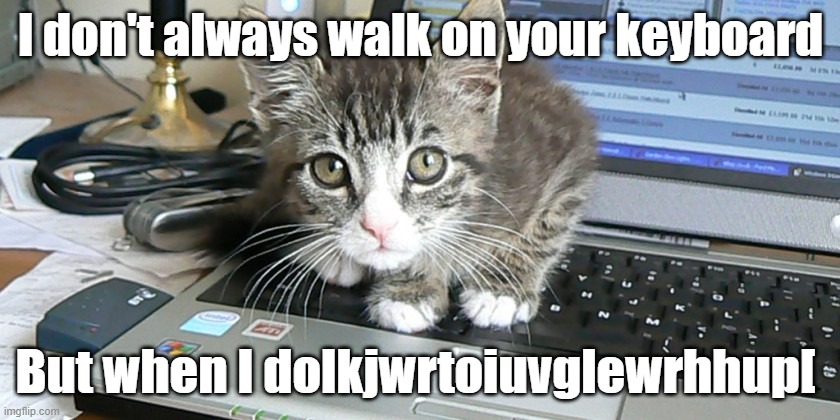 Computer Cat | I don't always walk on your keyboard; But when I dolkjwrtoiuvglewrhhup[ | image tagged in cats,funny cats,the most interesting cat in the world,computers,keyboard | made w/ Imgflip meme maker