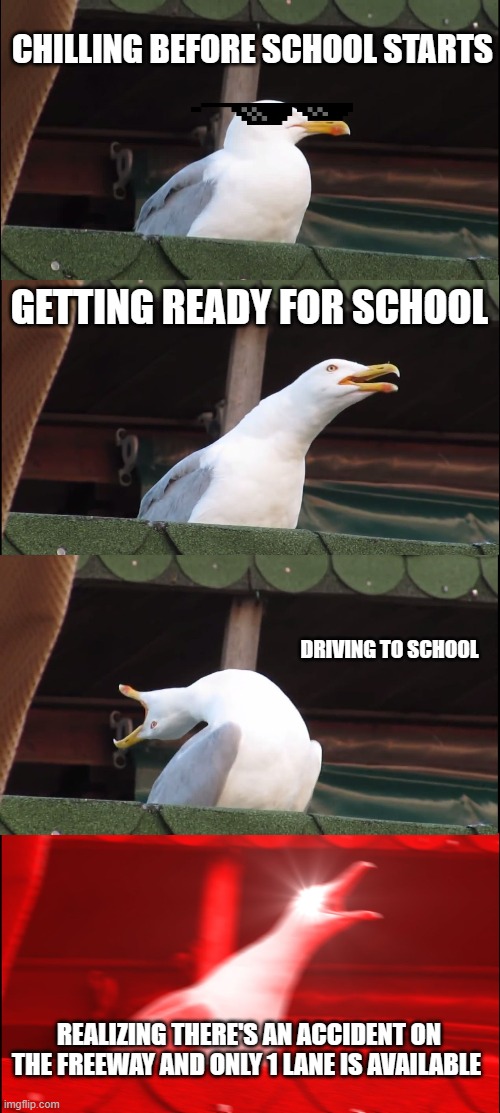 Commuting to college | CHILLING BEFORE SCHOOL STARTS; GETTING READY FOR SCHOOL; DRIVING TO SCHOOL; REALIZING THERE'S AN ACCIDENT ON THE FREEWAY AND ONLY 1 LANE IS AVAILABLE | image tagged in memes,inhaling seagull | made w/ Imgflip meme maker