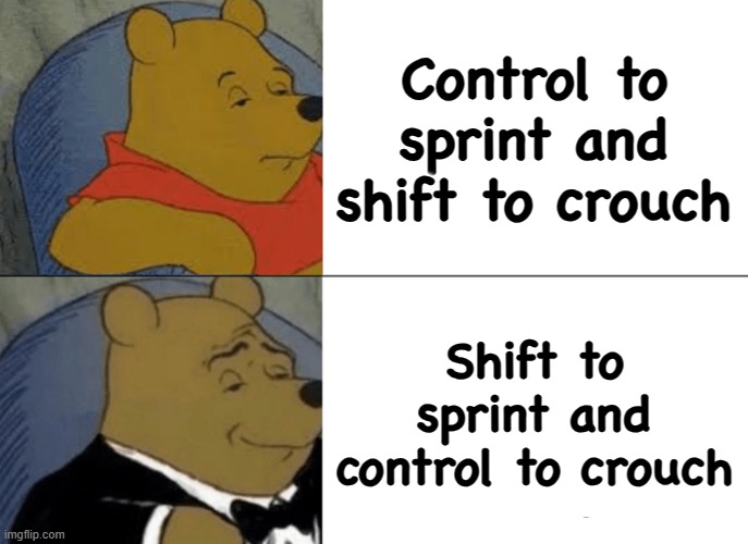 minecraft controls: | Control to sprint and shift to crouch; Shift to sprint and control to crouch | image tagged in memes,tuxedo winnie the pooh | made w/ Imgflip meme maker