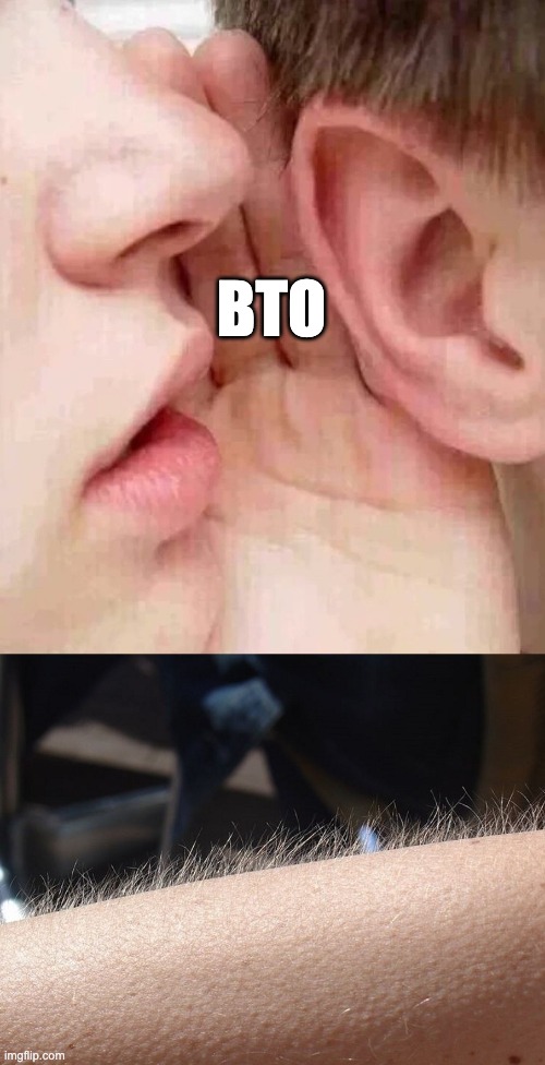 whisper in ear goosebumps | BTO | image tagged in whisper in ear goosebumps | made w/ Imgflip meme maker