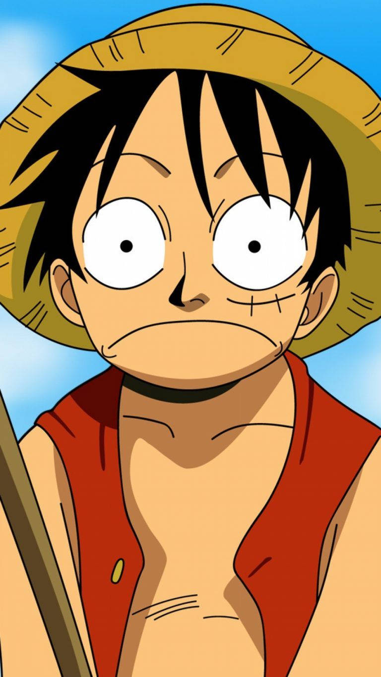 High Quality Luffy guffy ahh face Blank Meme Template