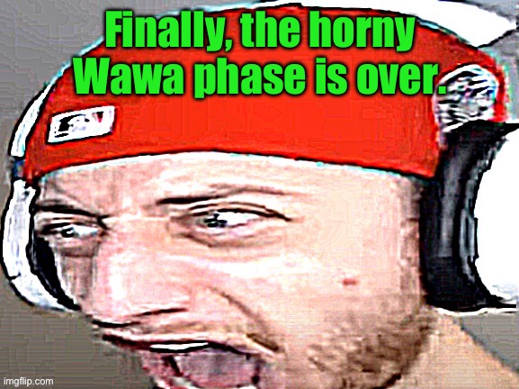 Disgusted | Finally, the horny Wawa phase is over. | image tagged in disgusted | made w/ Imgflip meme maker