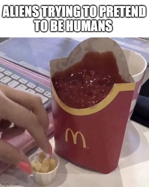 Ketchup with a side of fries | ALIENS TRYING TO PRETEND
TO BE HUMANS | image tagged in ketchup with a side of fries | made w/ Imgflip meme maker