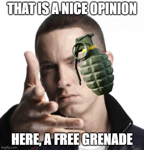 Thanks man | THAT IS A NICE OPINION; HERE, A FREE GRENADE | image tagged in eminem throwing grenade,memes,opinion | made w/ Imgflip meme maker