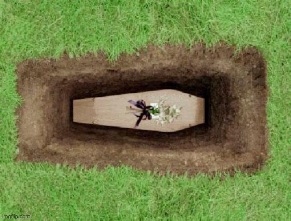 coffin | image tagged in coffin | made w/ Imgflip meme maker
