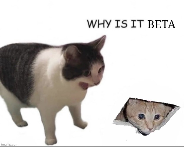 WHY IS IT EMPTY? | BETA | image tagged in why is it empty | made w/ Imgflip meme maker