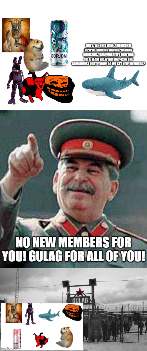 If Team Blahaj attempted to Find New Members | GUYS. WE ONLY HAVE 7 MEMBERS!
DESPITE MORSHU HAVING SO MANY MEMBERS. TEAM WHEATLEY ONLY HAS 10! & TEAM KREWFAM HAS 42 IN THE COMMUNIST PARTY! HOW DO WE GET NEW MEMBERS? NO NEW MEMBERS FOR YOU! GULAG FOR ALL OF YOU! | image tagged in stalin says,gulag | made w/ Imgflip meme maker