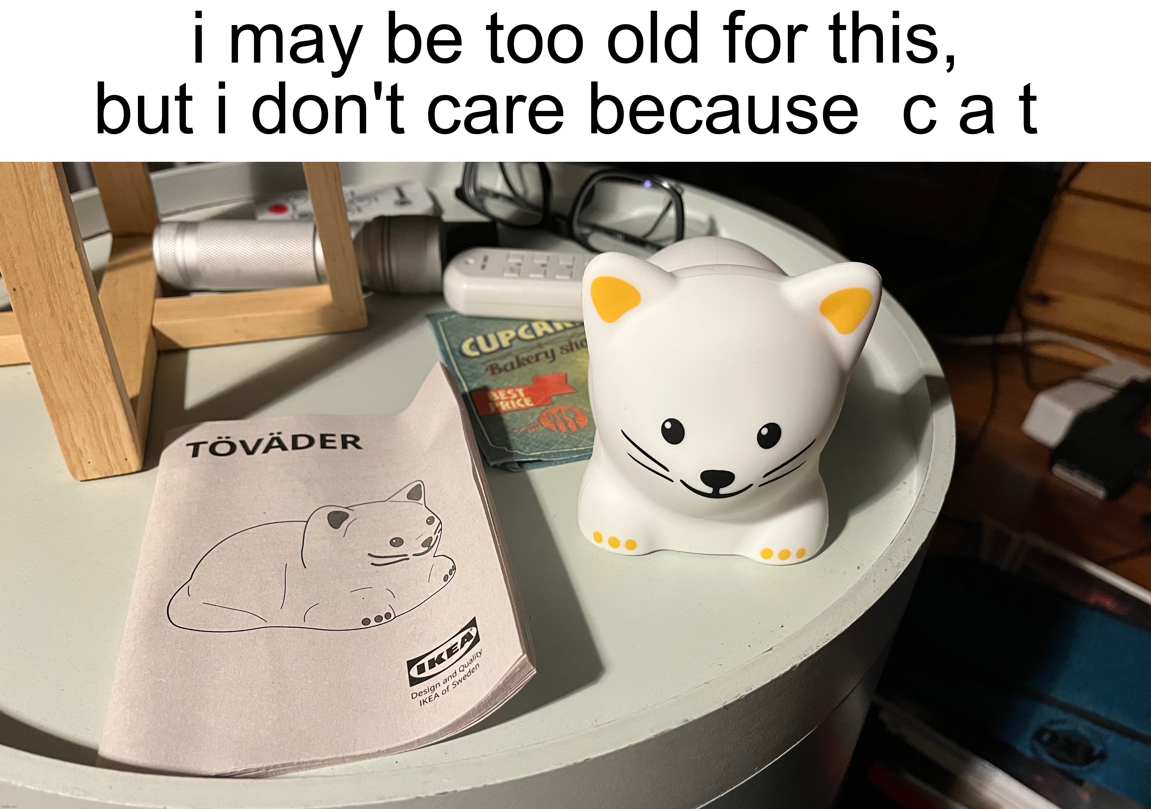 i may be too old for this, but i don't care because  c a t | image tagged in share your own photos,cats,ikea,product,idk | made w/ Imgflip meme maker