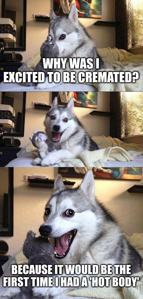 Joke I heard on the radio. | WHY WAS I EXCITED TO BE CREMATED? BECAUSE IT WOULD BE THE FIRST TIME I HAD A 'HOT BODY' | image tagged in memes,bad pun dog | made w/ Imgflip meme maker