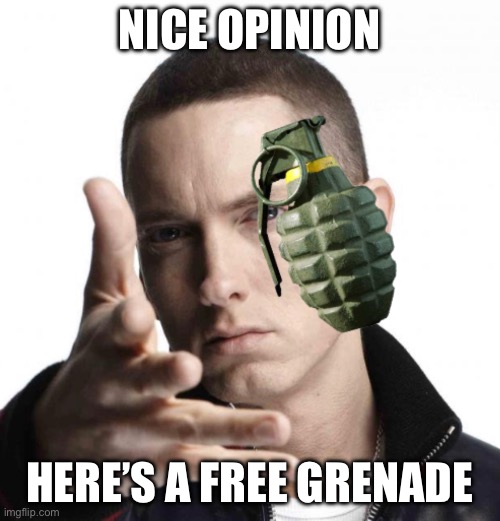 Eminem throwing grenade | NICE OPINION HERE’S A FREE GRENADE | image tagged in eminem throwing grenade | made w/ Imgflip meme maker