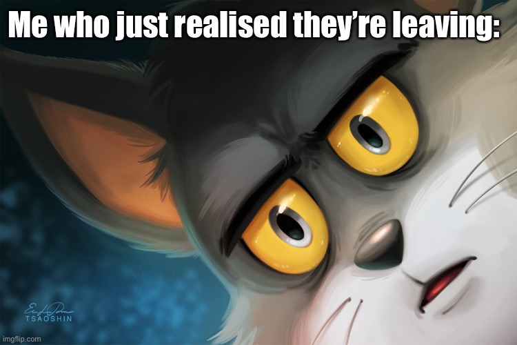 Did dogwater you add x eyes to their favourite character? | Me who just realised they’re leaving: | image tagged in unsettled tom stylized | made w/ Imgflip meme maker