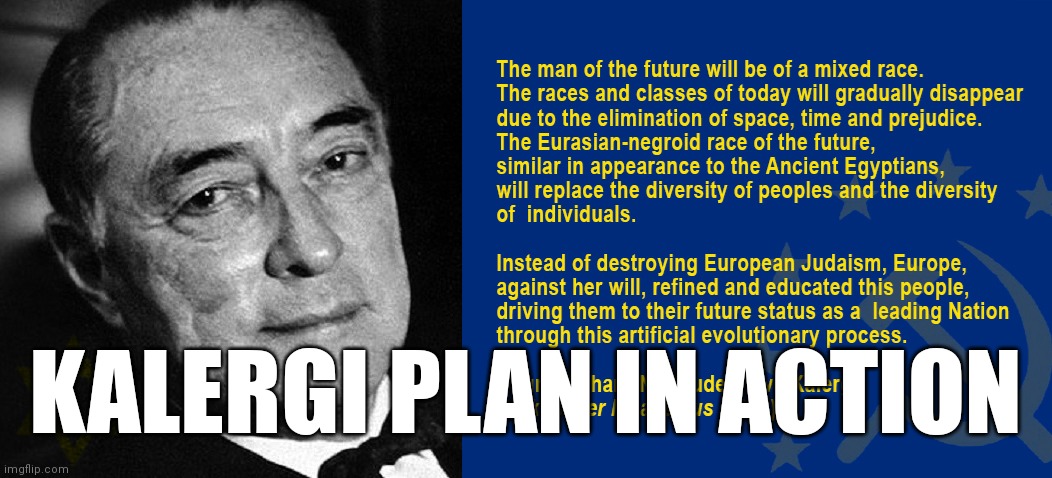 KALERGI PLAN | KALERGI PLAN IN ACTION | image tagged in kalergi plan | made w/ Imgflip meme maker