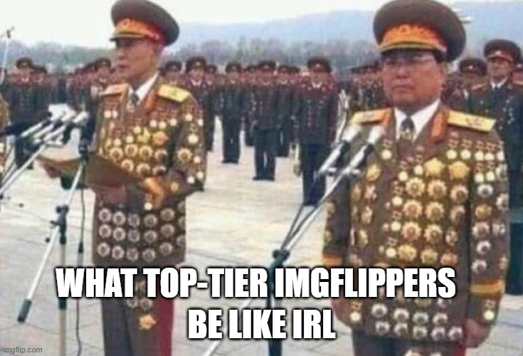 North korean medals | WHAT TOP-TIER IMGFLIPPERS BE LIKE IRL | image tagged in north korean medals | made w/ Imgflip meme maker