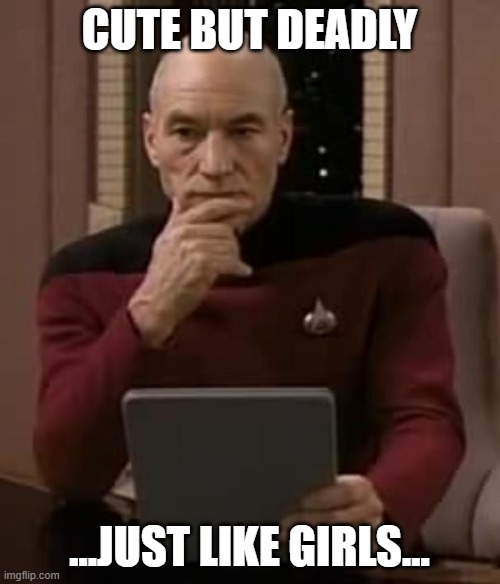 picard thinking | CUTE BUT DEADLY ...JUST LIKE GIRLS... | image tagged in picard thinking | made w/ Imgflip meme maker