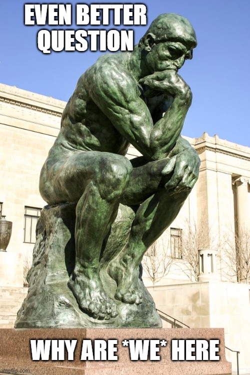The Thinker | EVEN BETTER QUESTION WHY ARE *WE* HERE | image tagged in the thinker | made w/ Imgflip meme maker