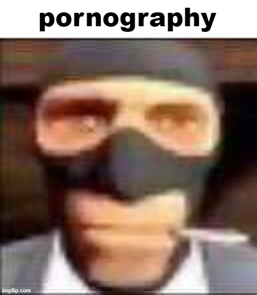 spi | pornography | image tagged in spi | made w/ Imgflip meme maker
