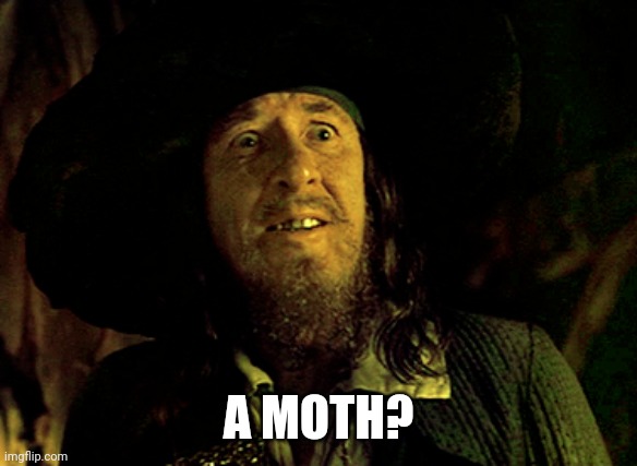 BARBOSSA SCARED | A MOTH? | image tagged in barbossa scared | made w/ Imgflip meme maker